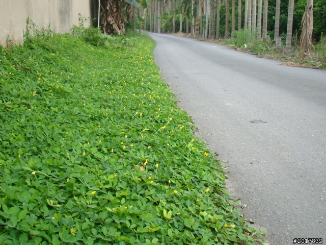 2012-4-12台南白河蓮花之鄉到處晃