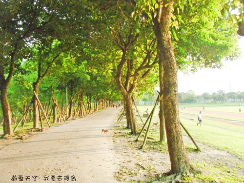 夢想的實踐需要一股傻勁 二個女生過了而立之年的11天鐵馬環島 圖文超多檔請耐心觀看 己更新到第8天