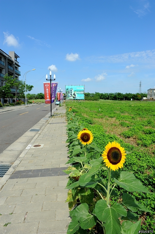 風和日麗 . 新屋開箱
