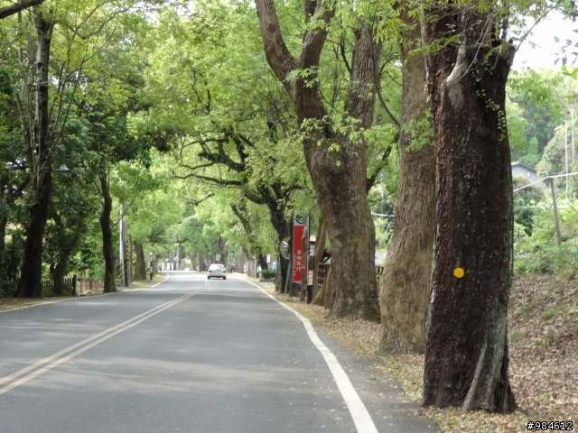 嘉義。古坑。台三線綠色隧道追風去,集集。二水。攔河堰鐵道火車鬥陣行