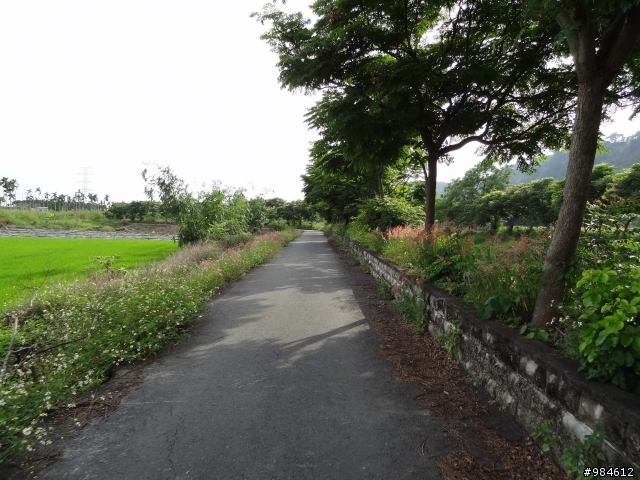嘉義。古坑。台三線綠色隧道追風去,集集。二水。攔河堰鐵道火車鬥陣行