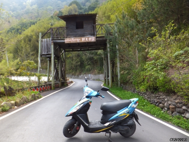 司馬庫斯+鎮西堡+水田道路<六曲窩道路>超級一日行