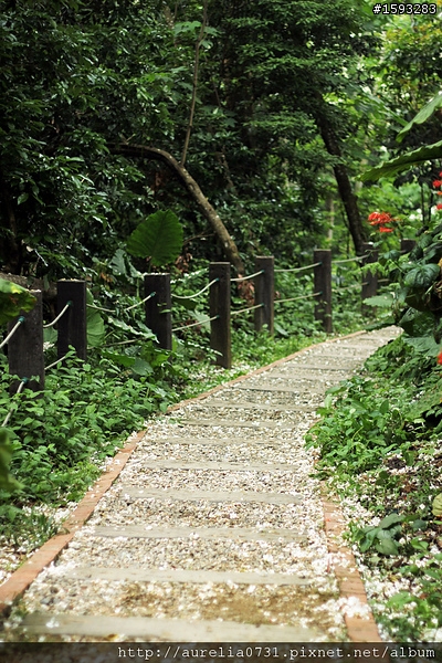 ♥走走逛逛♥ 2012油桐花季之彰化福田賞桐生態園區賞桐趣