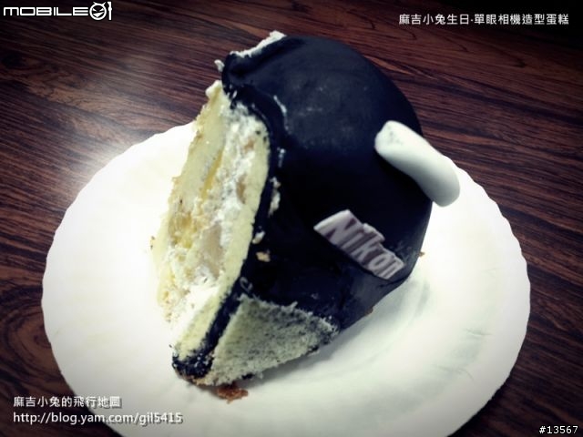 分享一下今年生日收到的單眼相機造型蛋糕!