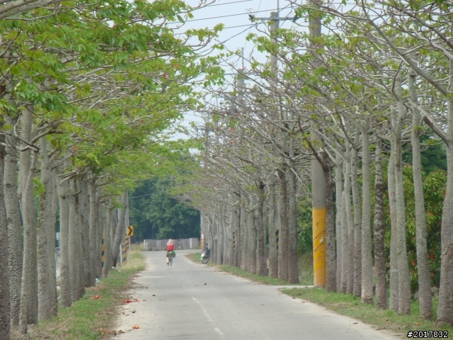 2012-4-12台南白河蓮花之鄉到處晃