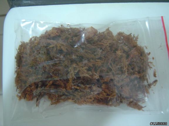 嘗試用種子種植---聽說3~4個月後,種子就會發芽! (平地櫻花種子)