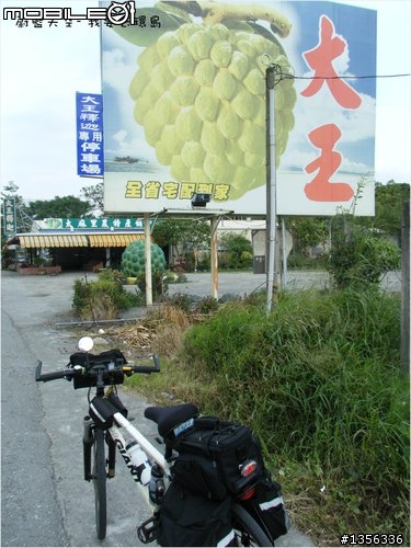 夢想的實踐需要一股傻勁 二個女生過了而立之年的11天鐵馬環島 圖文超多檔請耐心觀看 己更新到第8天
