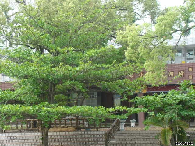 2012-4-12台南白河蓮花之鄉到處晃