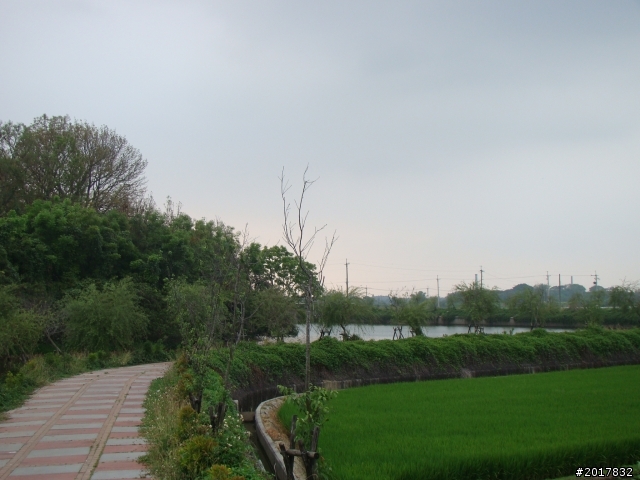 2012-4-12台南白河蓮花之鄉到處晃
