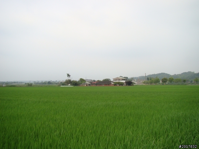 2012-4-12台南白河蓮花之鄉到處晃
