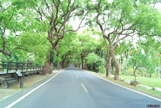 嘉義。古坑。台三線綠色隧道追風去,集集。二水。攔河堰鐵道火車鬥陣行