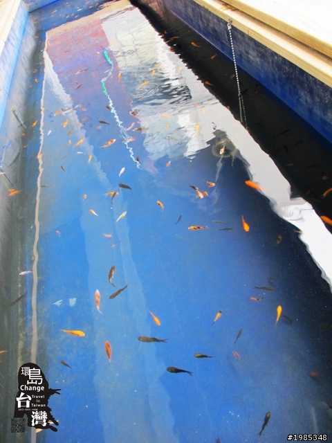 2012-0331~0408-九天八夜衝衝衝