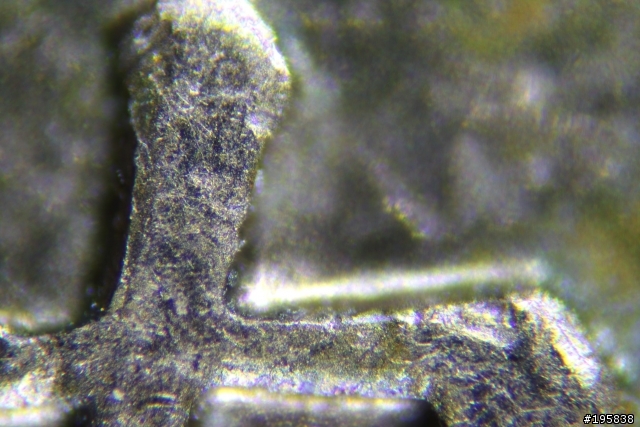 【分享文】不用顯微鏡的顯微攝影