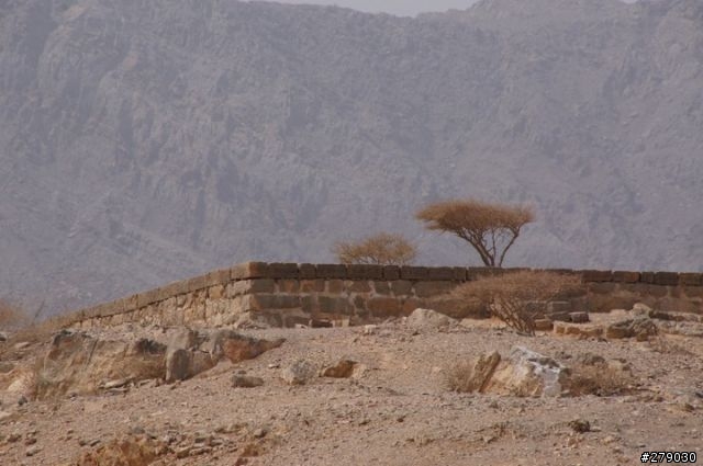 去油國坐郵輪﹣Costa Favolosa 杜拜自助奇航遊記 day5&6 in Abu Dhabi & Khasab