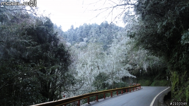 一個人旅行之穿越雪白中橫(2011.12.26)