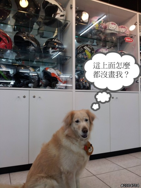省道一姐輕省生活~我在城市間輕旅行。