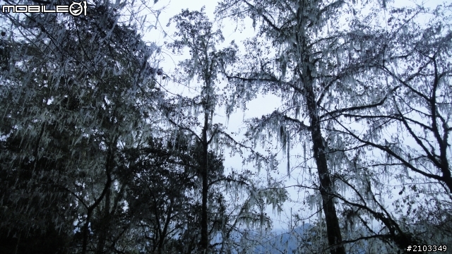 一個人旅行之穿越雪白中橫(2011.12.26)
