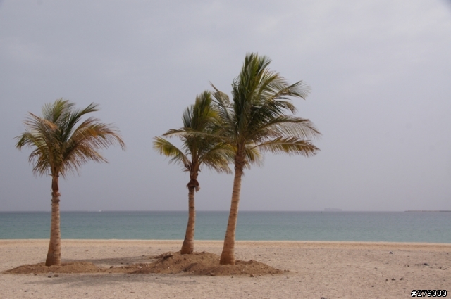 去油國坐郵輪﹣Costa Favolosa 杜拜自助奇航遊記 day3&4 in muscat & fujayrah