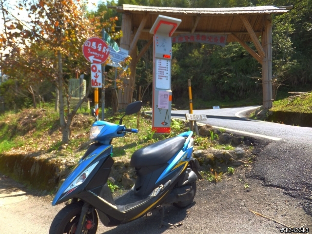 司馬庫斯+鎮西堡+水田道路<六曲窩道路>超級一日行