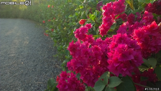 『原圖奉上』SORRY! 我不專業的攝影造成大家觀感上的不愉快 (刪文)