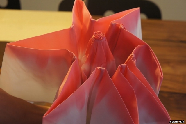 Rosella 玫瑰花傘 入手 開箱
