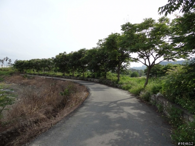 嘉義。古坑。台三線綠色隧道追風去,集集。二水。攔河堰鐵道火車鬥陣行