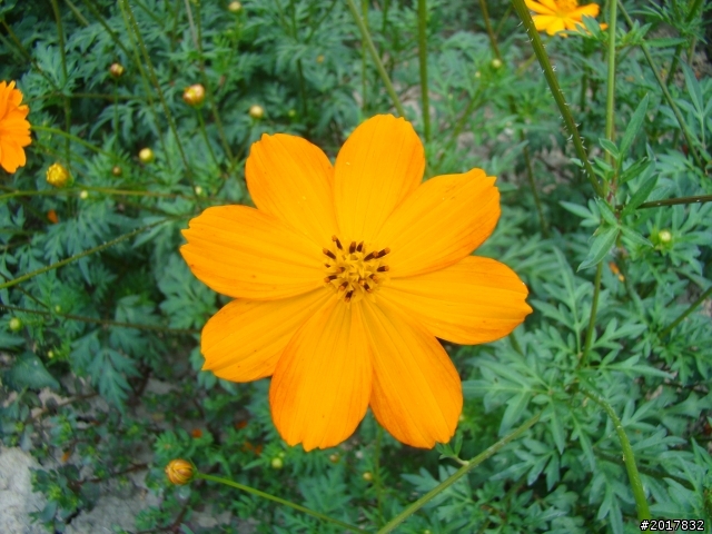2012-4-12台南白河蓮花之鄉到處晃