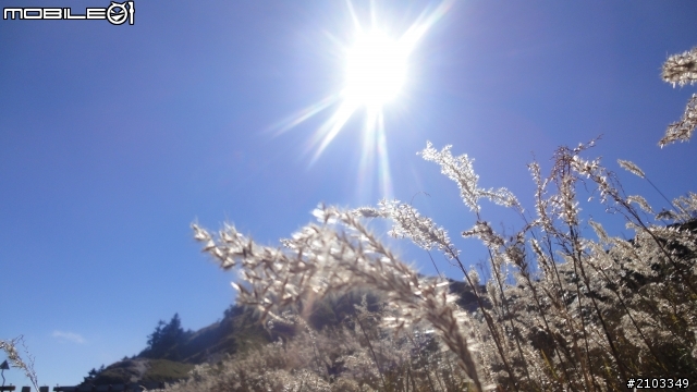 一個人旅行之穿越雪白中橫(2011.12.26)