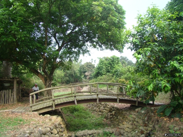 2012-4-12台南白河蓮花之鄉到處晃
