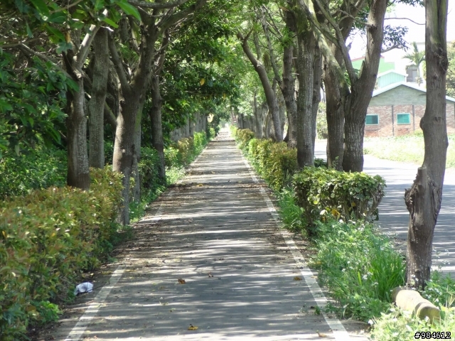 春末初夏 。風和日麗。嘉南平原。六腳東石。輕鬆鐵馬道