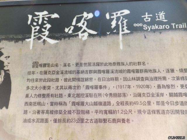 司馬庫斯+鎮西堡+水田道路<六曲窩道路>超級一日行