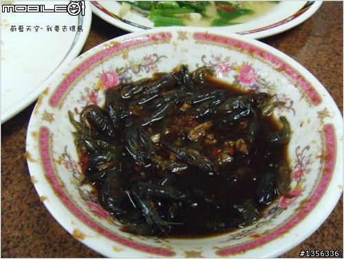 夢想的實踐需要一股傻勁 二個女生過了而立之年的11天鐵馬環島 圖文超多檔請耐心觀看 己更新到第8天
