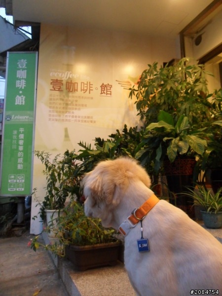 省道一姐輕省生活~我在城市間輕旅行。