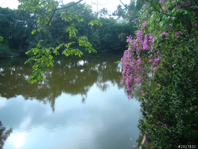 2012-4-12台南白河蓮花之鄉到處晃