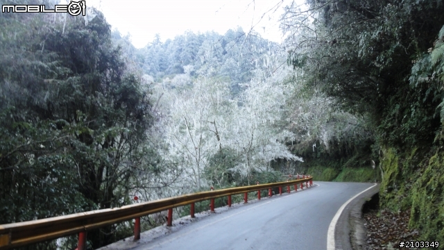 一個人旅行之穿越雪白中橫(2011.12.26)