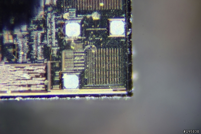 【分享文】不用顯微鏡的顯微攝影