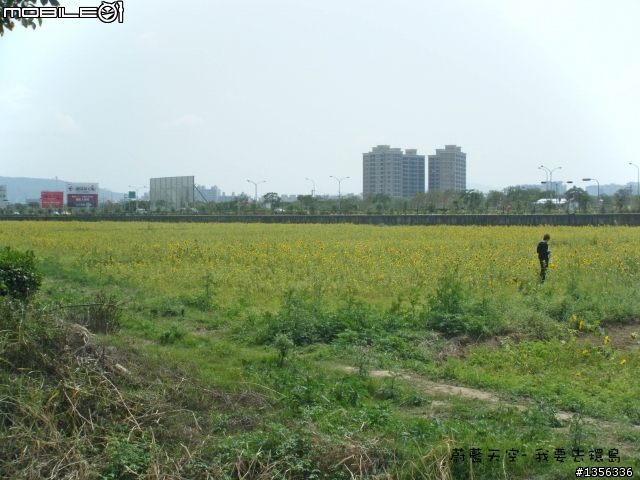 夢想的實踐需要一股傻勁 二個女生過了而立之年的11天鐵馬環島 圖文超多檔請耐心觀看 己更新到第8天