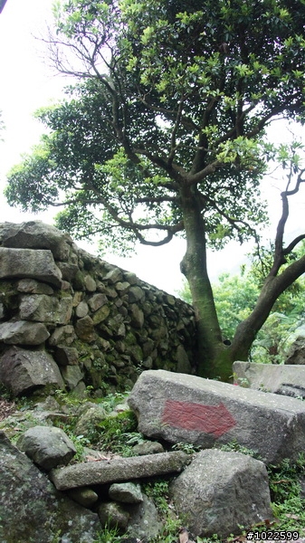 wildBLUEbear映像: 竹子湖-綠山谷,要拍video,先得勘景一次,寫成遊記,再...