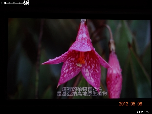 (開箱)朋友的BENQ W710ST 短焦投影機+簡易型100"布幕