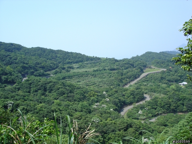 汐平失焦、十分桐花、五分蝴蝶、九份芋圓