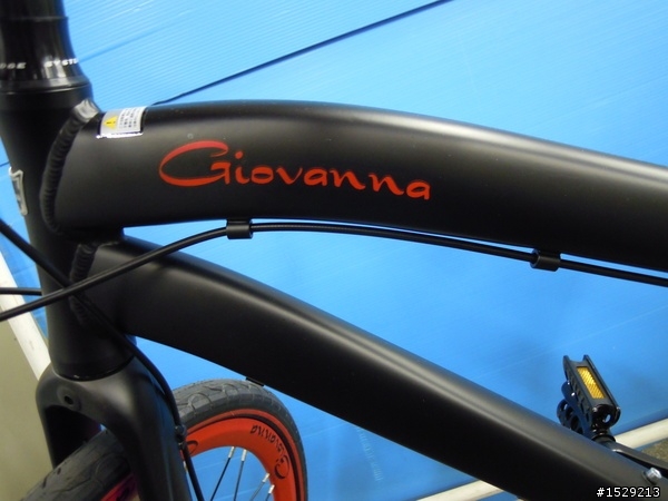 詢問Giovanna Bike 24吋小徑,身高180體重80適合嗎? (內容多圖)
