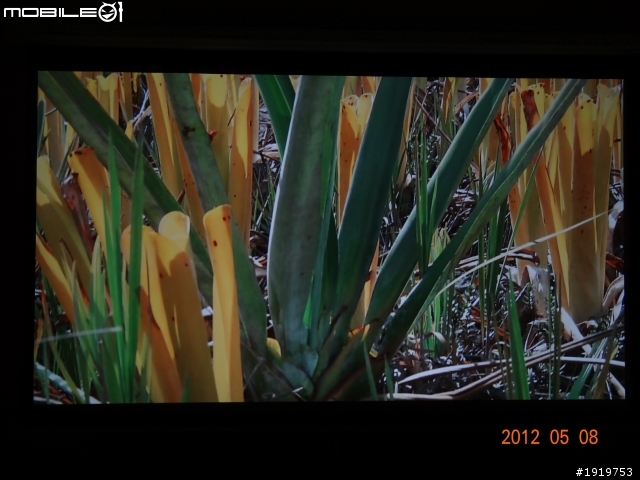(開箱)朋友的BENQ W710ST 短焦投影機+簡易型100"布幕
