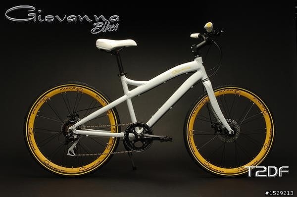 詢問Giovanna Bike 24吋小徑,身高180體重80適合嗎? (內容多圖)