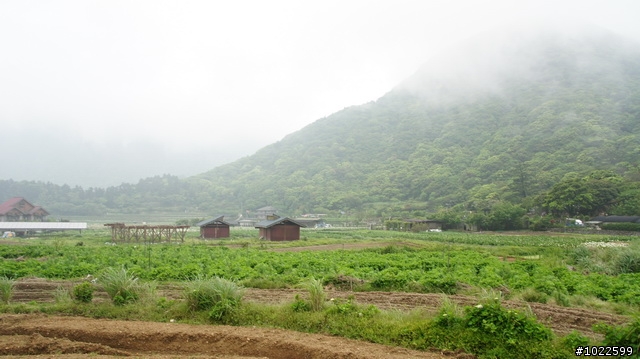wildBLUEbear映像: 竹子湖-綠山谷,要拍video,先得勘景一次,寫成遊記,再...