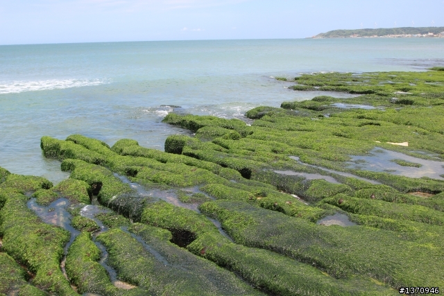 米奇奇遇記 (新增油錢.油耗.住宿費)