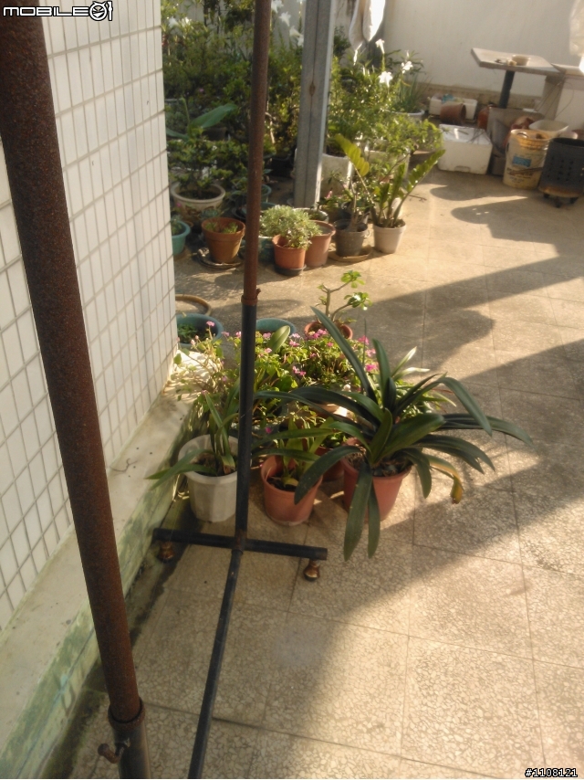 【開箱】NOKIA Lumia 800 白寡婦美麗開箱!!!