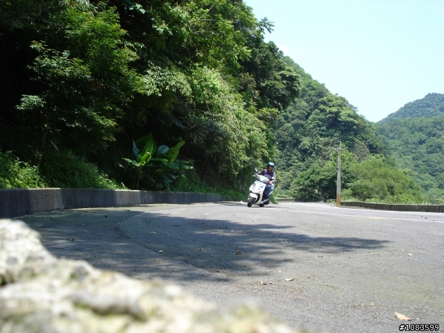 汐平失焦、十分桐花、五分蝴蝶、九份芋圓