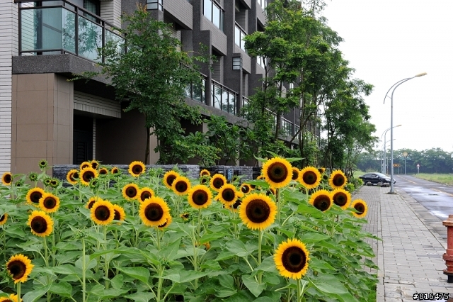 風和日麗 . 新屋開箱