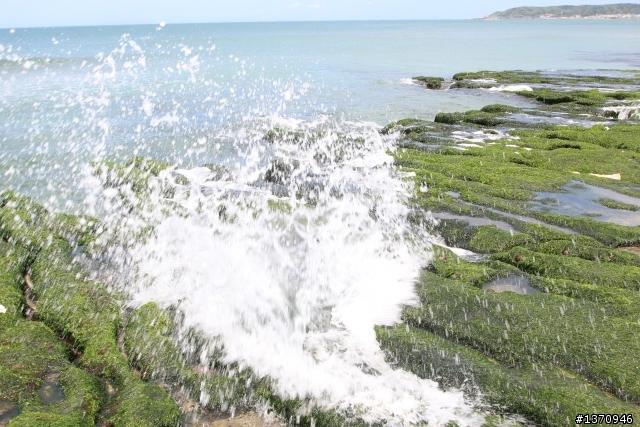 米奇奇遇記 (新增油錢.油耗.住宿費)