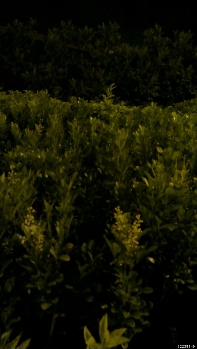 HTC ONE X超強相機 HDR大比拚(圖多)